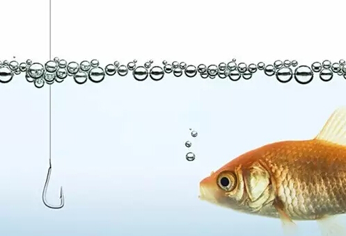 用户无法识别网络钓鱼攻击